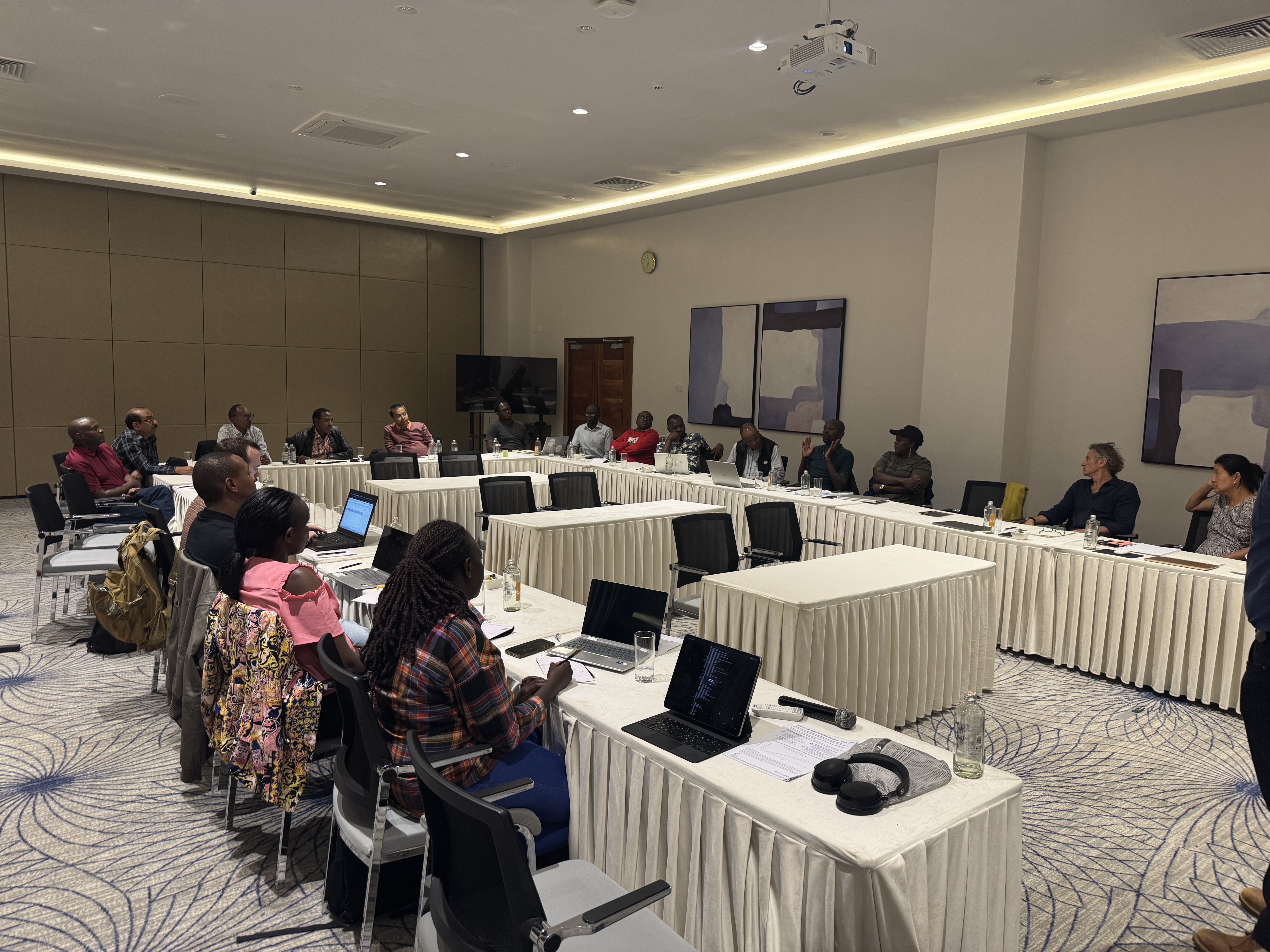 Earthbanc.io - Kenya board meeting