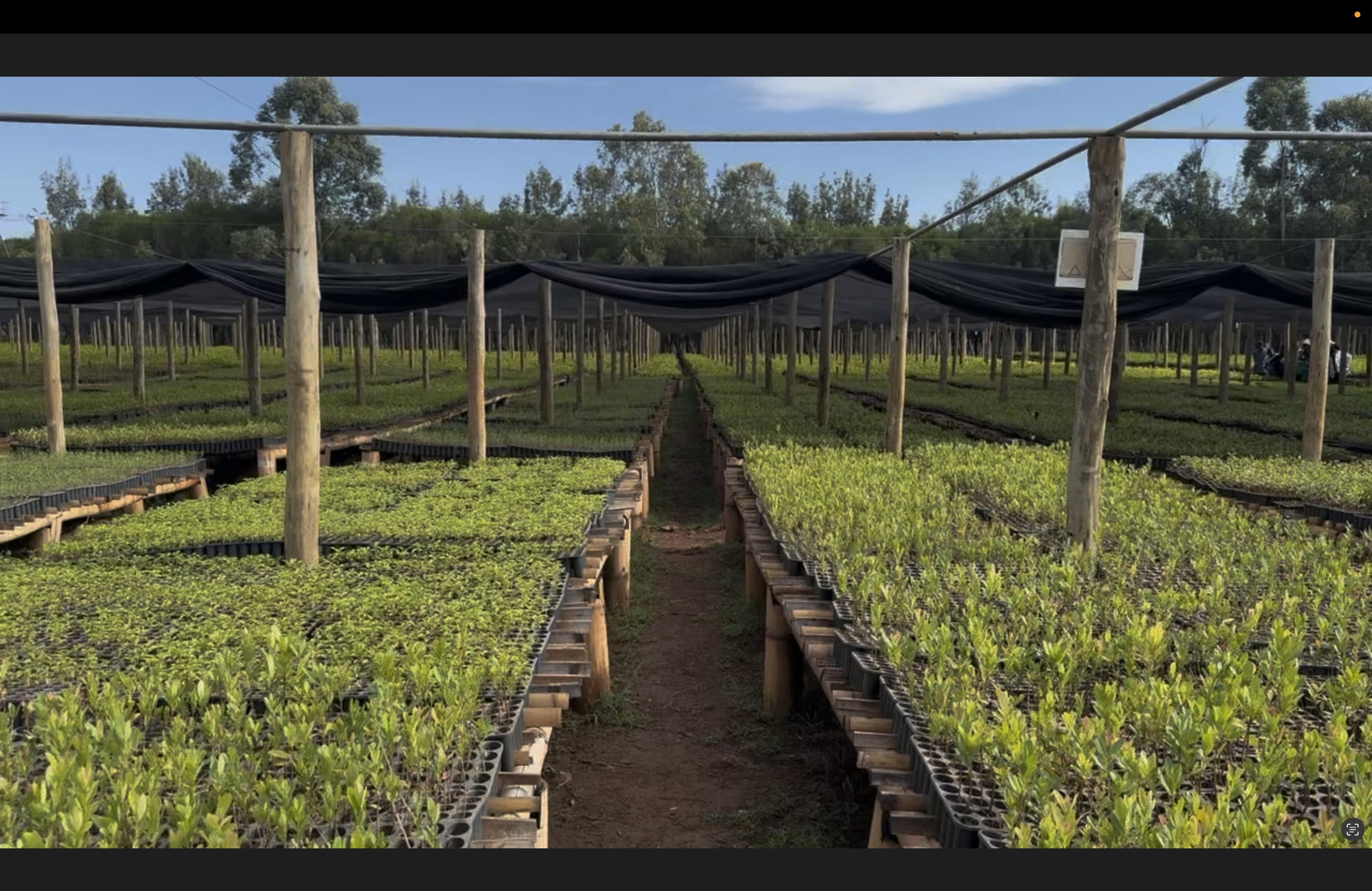 Earthbanc.io - Tree planting site overview